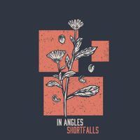 In Angles - Shortfalls