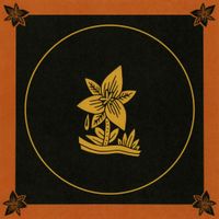 Caamp - Peach Fuzz
