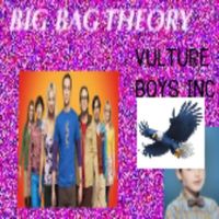 VULTURE BOYS - Big Bag Theory