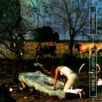 Tori Amos - Caught a Lite Sneeze