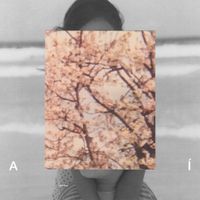 Lavoisier - A&iacute;
