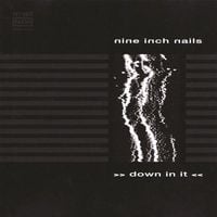 Nine Inch Nails - Down in It