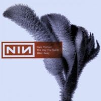 Nine Inch Nails - The Day the World Went Away