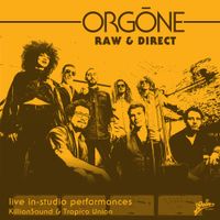 Orgone - Raw and Direct