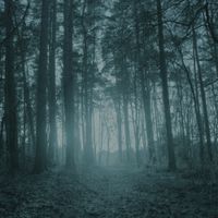 Wouter Veldhuis - Blue Forest