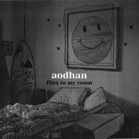 Aodhan - Flies In My Room