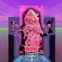 Phyllomedusa - p i n k i s h 1
