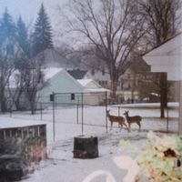 Sleep Week - everybody loses