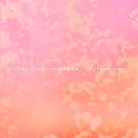 Hammock - Ocean Avenue