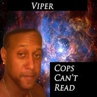 Viper - Cops Can't Read