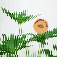 Mike Mago - Mike Mago