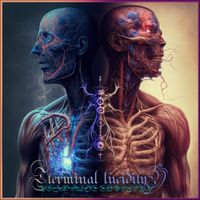 Lucid Funeral - Terminal Lucidity