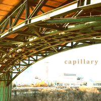 Capillary - Capillary