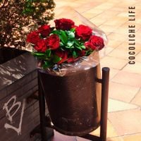 Bersuit Vergarabat - Cocoliche Life