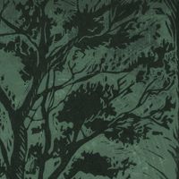 Steven R. Smith - Arroyo Tree Complex