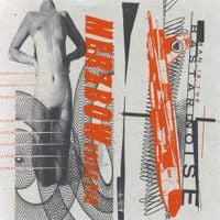 Merzbow - Split w/ Bastard Noise