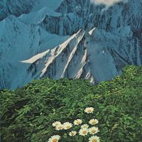 Mallbangs - Forget Me Nots