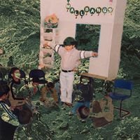 Mallbangs - New Face