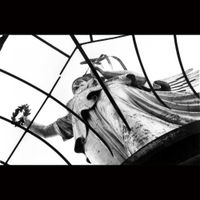 antihoney - Dove