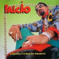 Falc&atilde;o - A besteira &eacute; a base da sabedoria