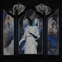 Cellar Dwellar - In the Shape of a Swan