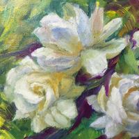 Brocko - jasmine**