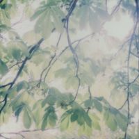 Ian Hawgood & Wil Bolton - Floral Forms and Subsequent Interactions