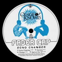 Fader Cap - Echo Chamber