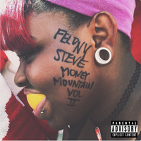 FELONY STEVE - MONEY MOUNTAIN VOL: II