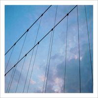Taylor Deupree - January