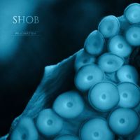 Shob - Pragmatism