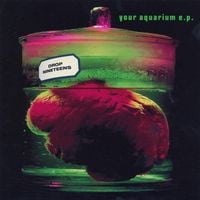 Drop Nineteens - Your Aquarium