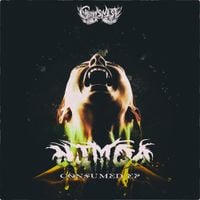 Nimda - Consumed