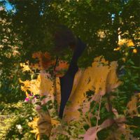 Eejaye - In Bloom