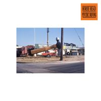Horse Head - Psychic Driving