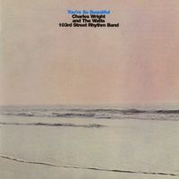 Charles Wright And The Watts 103rd. Street Rhythm Band - You're So Beautiful