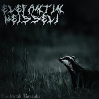 Elefantin Meisseli - Kontratak Borsuka