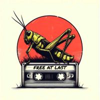 Grvsshopper - Free At Last