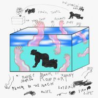 CatchUp - Kot Schr&ouml;dingera