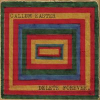 Callum Easter - Delete Forever