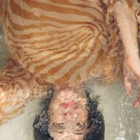Swimming Bell - Charlie