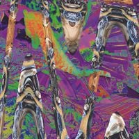 Merzbow - 450Q