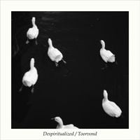 Despiritualized / Toorvond - Despiritualized / Toorvond