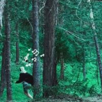 Eshey - musical doubts