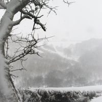 Bambi Baker - Snow on My Windowsill