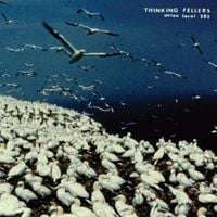 Thinking Fellers Union Local 282 - These Things Remain Unassigned (Compilation Tracks, Singles, Rarities, & Unreleased Recordings From the TFUL282 Archives)