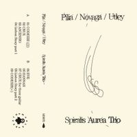 Stefano Pilia, Alessandra Novaga & Adrian Utley - Spiralis Aurea Trio