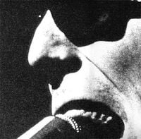 Robert Ashley - Wolfman