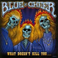 Blue Cheer - What Doesn't Kill You...