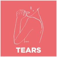 As December Falls - Tears